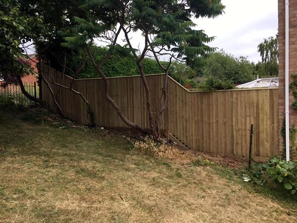 closeboard fencing for a back garden in Abingdon